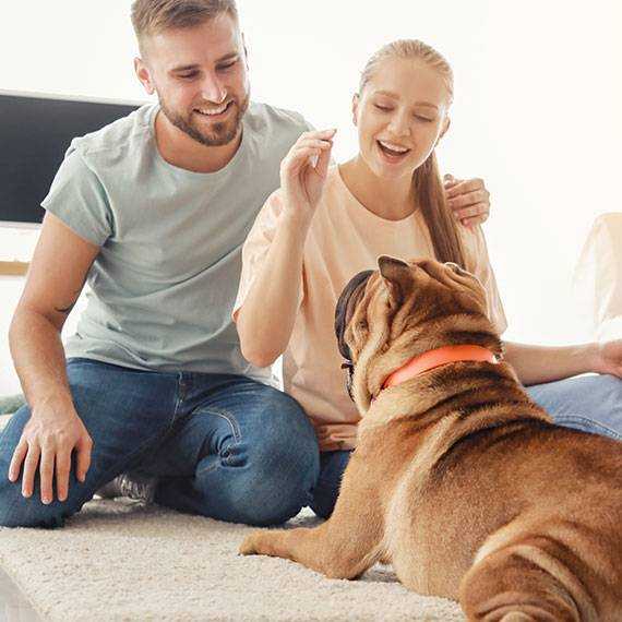 Check Out Jagoe Homes Home Buyer Incentives Check Out Jagoe Homes Home Buyer Incentives