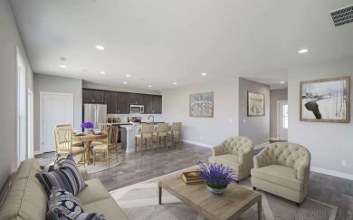 Norwegian Living Area