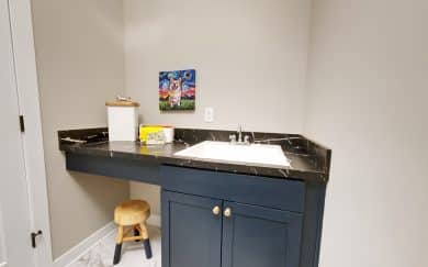 Pebble Wood Model Home - Revolution Farmhouse - Jagoe Homes