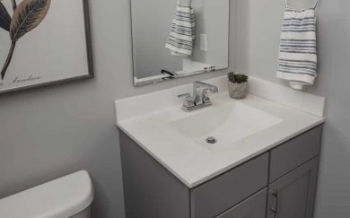 Patriot Bathroom