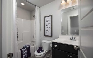 Patriot Bathroom