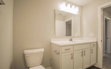 RevolutionCraftsman_Bath4_TV Revolution Bathroom