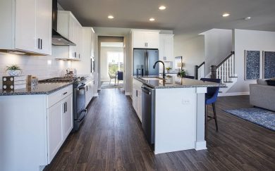 Revolution Kitchen