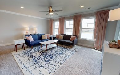 Theodore Roosevelt Bonus Room