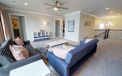 Theodore Roosevelt Bonus Room
