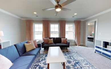 Theodore Roosevelt Bonus Room