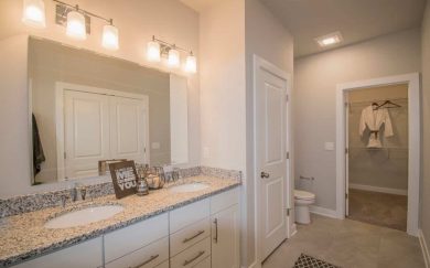 Vanderbilt Master Bathroom