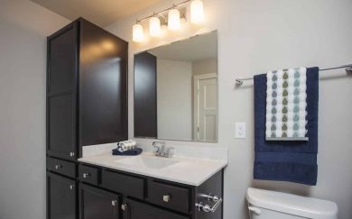 Vanderbilt Bathroom