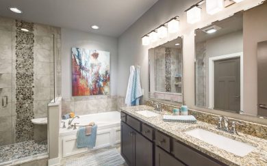 Walnut Master Bathroom